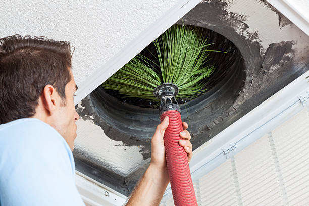 Air Duct Mold Removal in Brandon, MS